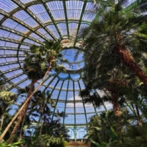 On aime toujours autant Bruxelles 🤩.#brussels #belgium #garden